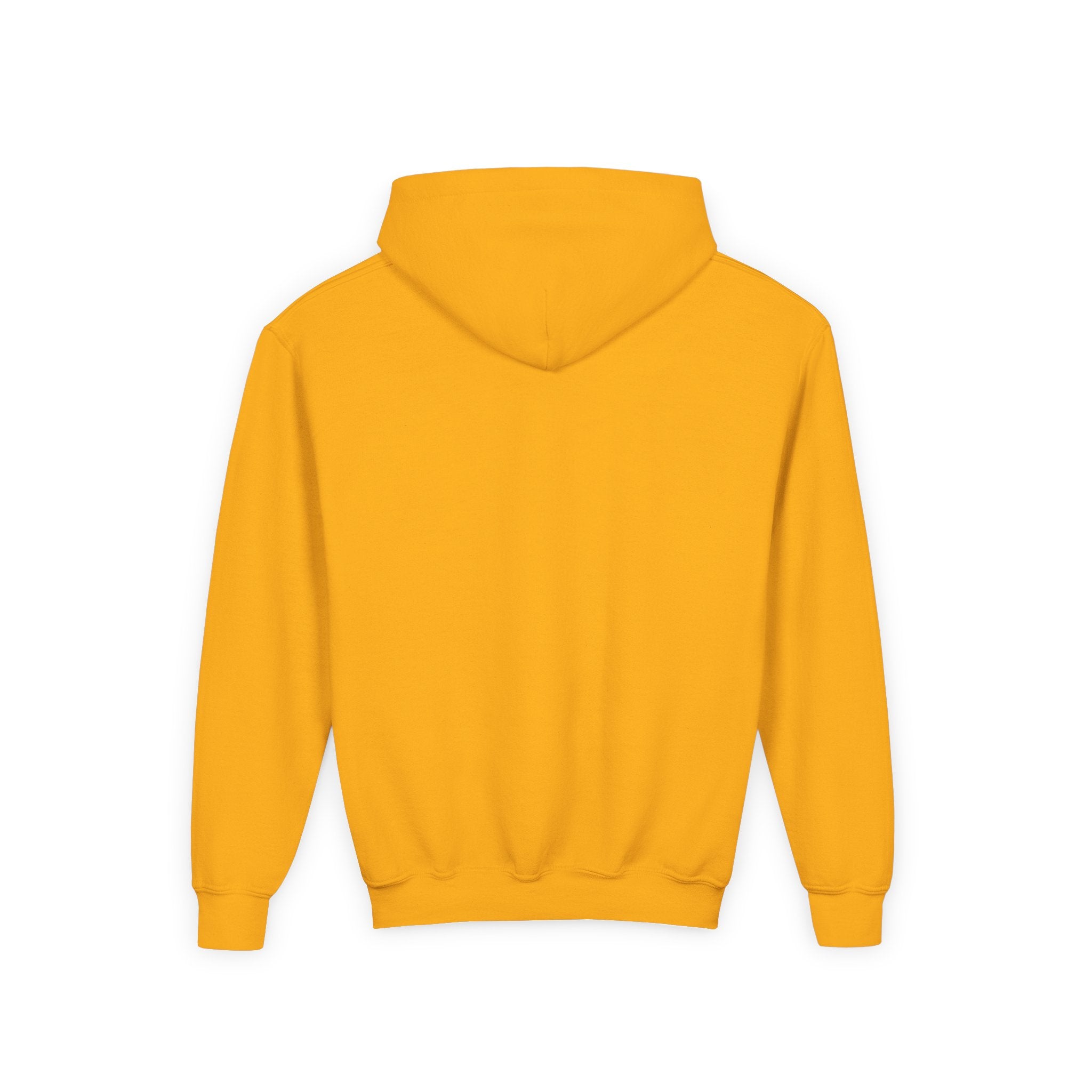 Youth Hoodie — "Young & Fearless" Motivational Pullover