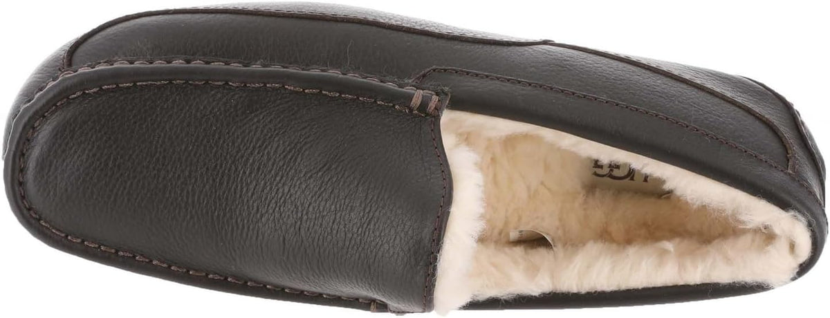 UGG Mens Ascot