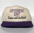 Different Day Same Old Bullshit Custom Embroidered snapback cap hat